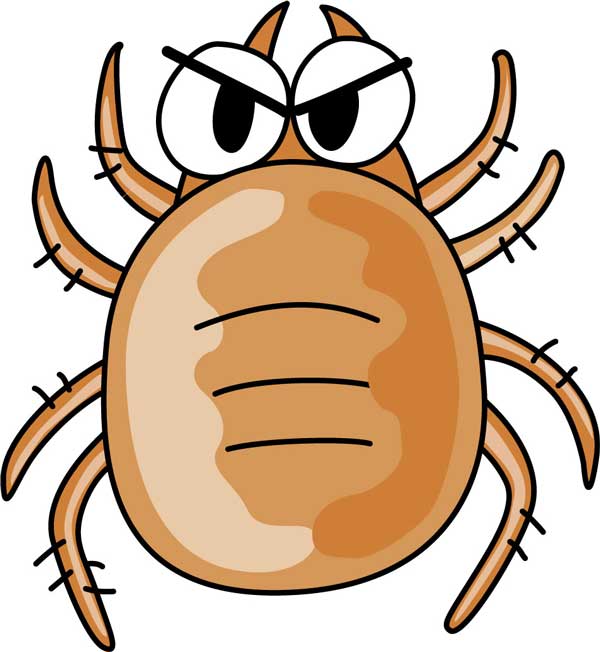 トイプードル　虫刺されに注意！気をつけたい虫と予防策