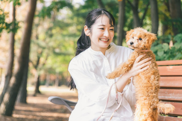 トイプードルの子犬を飼い始めた最初の1週間