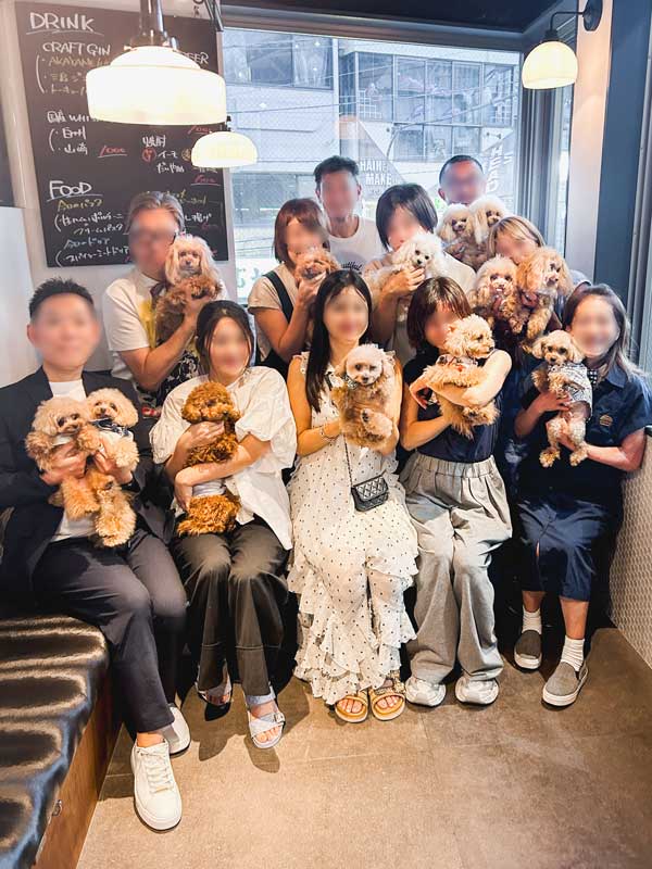 トイプードル お里会