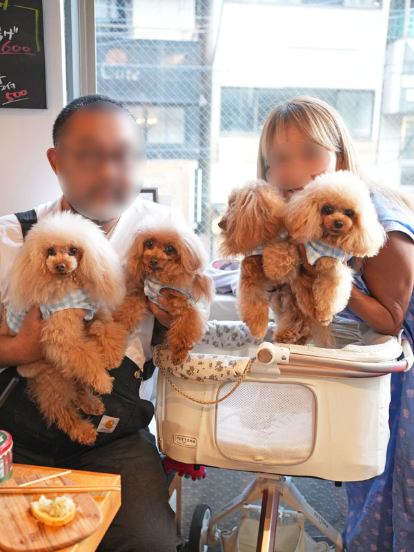 トイプードル お里会