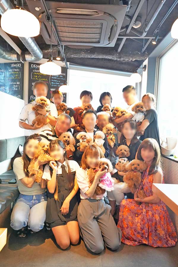 トイプードル お里会